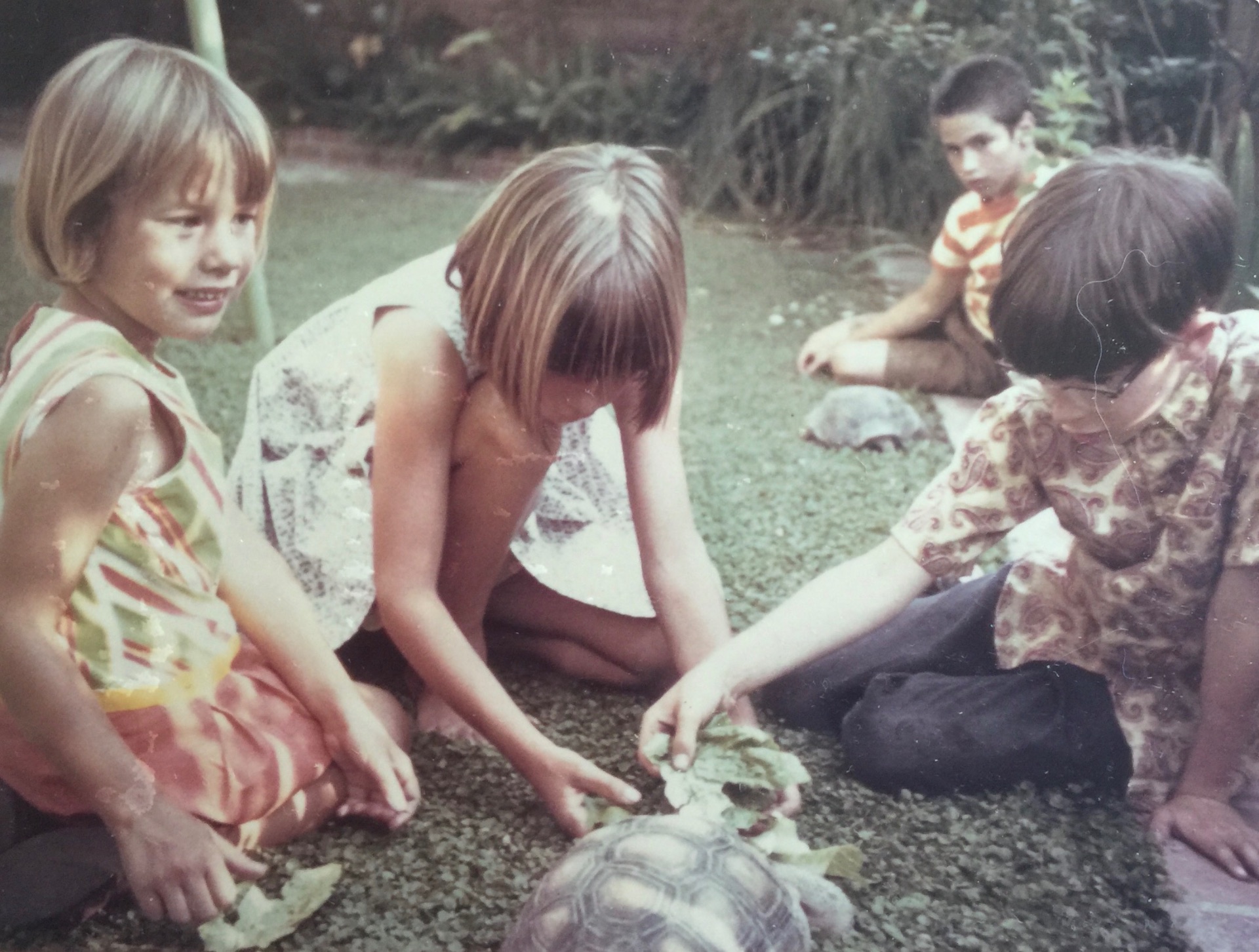 Young Lucy with her sister and visiting cousins Tom and Steven feeding their pet desert tortoises Myrtle and Apollo